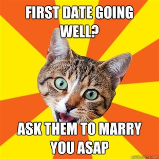 Bad Advice Cat