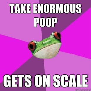 Foul Bachelorette Frog