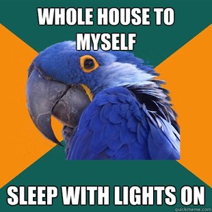 Paranoid Parrot
