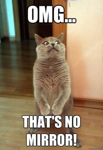 Horrorcat