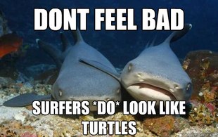 Compassionate Shark Friend