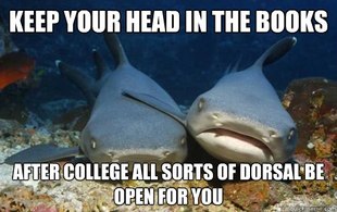 Compassionate Shark Friend