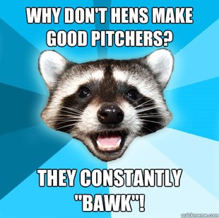 Lame Pun Coon