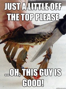 Optimistic Crab