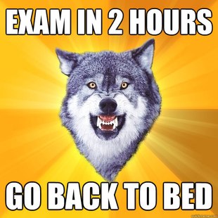 Courage Wolf