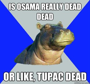 Skeptical Hippo