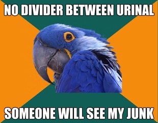 Paranoid Parrot