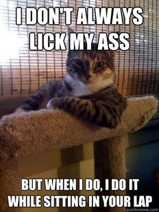The Most Interesting Cat in the World