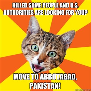 Bad Advice Cat