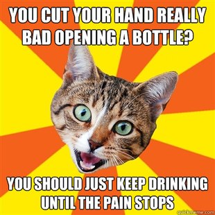 Bad Advice Cat