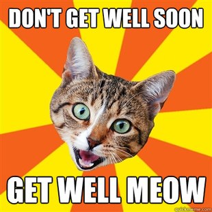 Bad Advice Cat