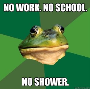 Foul Bachelor Frog