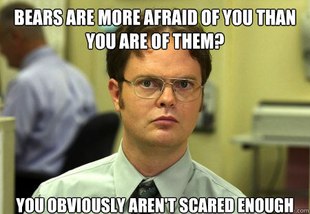Dwight