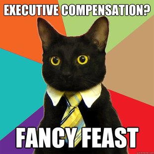 Business Cat