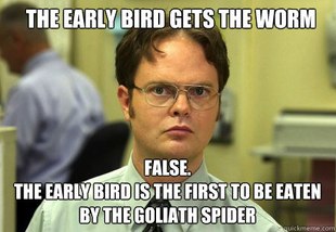 Schrute