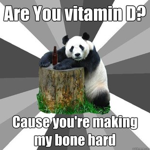 Pickup-Line Panda