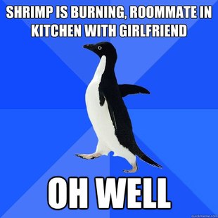 Socially Awkward Penguin