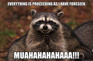 Evil Plotting Raccoon