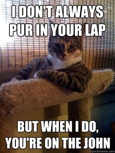 The Most Interesting Cat in the World