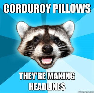 Lame Pun Coon