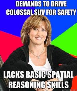 Sheltering Suburban Mom
