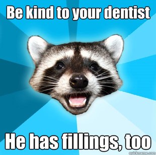 Lame Pun Coon