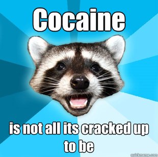 Lame Pun Coon