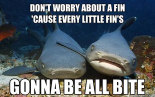 Compassionate Shark Friend