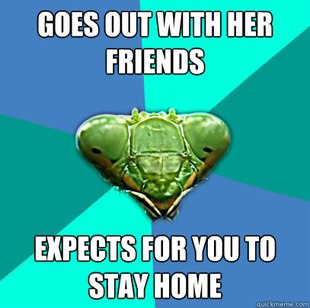 Crazy Girlfriend Praying Mantis