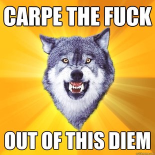 Courage Wolf