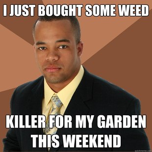 Successful Black Man