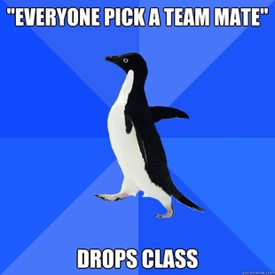 Socially Awkward Penguin