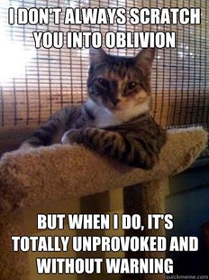 The Most Interesting Cat in the World