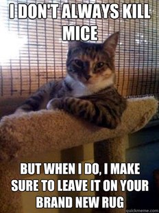 The Most Interesting Cat in the World