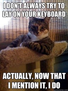 The Most Interesting Cat in the World