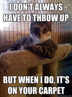The Most Interesting Cat in the World