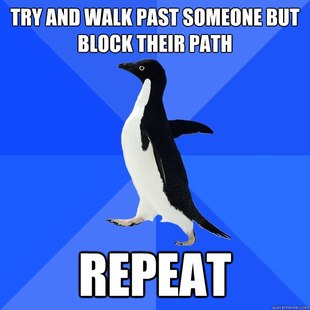 Socially Awkward Penguin