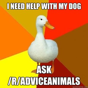 Tech Impaired Duck