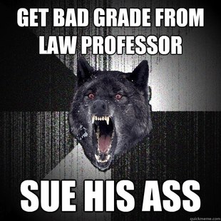 Insanity Wolf