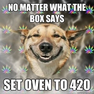 Stoner Dog