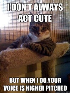The Most Interesting Cat in the World
