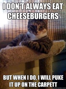 The Most Interesting Cat in the World