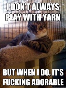 The Most Interesting Cat in the World