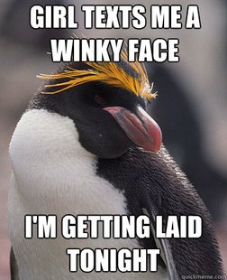 Socially Overconfident Penguin