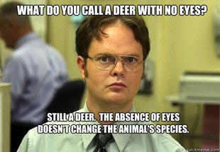 Schrute