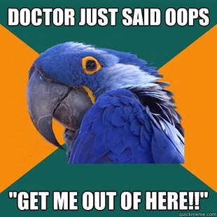 Paranoid Parrot