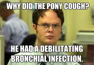 Schrute