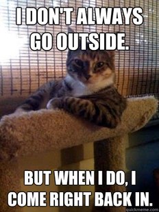 The Most Interesting Cat in the World
