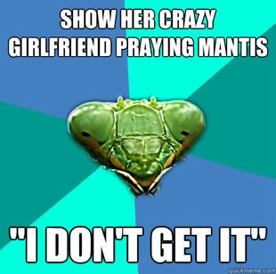 Crazy Girlfriend Praying Mantis