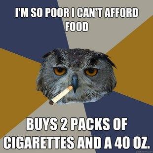 Art Student Owl